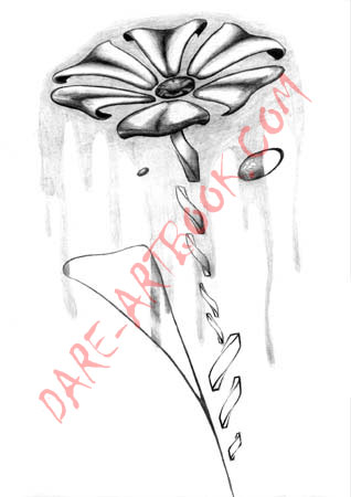 Daisy