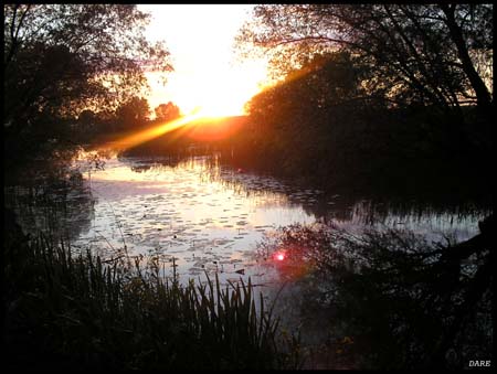 Kopacki rit landscape photo